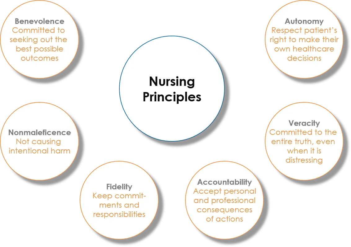 NursingPrinciples